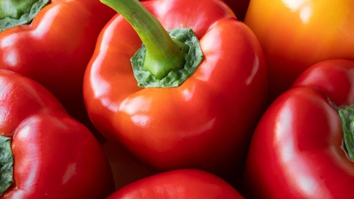 La base de pimientos del zorongollo encaja perfectamente en la dieta mediterránea