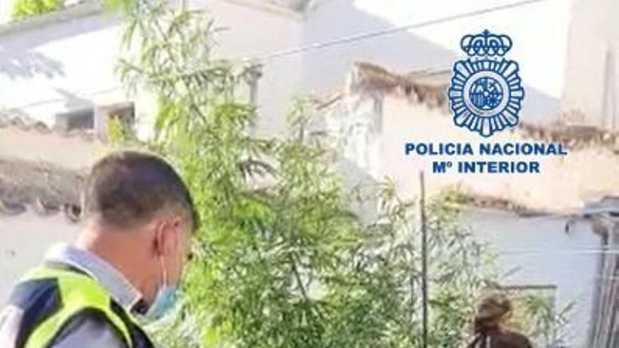 Cae 'telecoca', un punto que distribuía droga en bici o patinete eléctrico en Valdepeñas