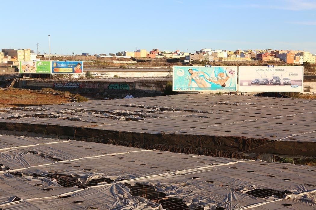 Invernaderos y carteles (Alejandro Ramos)