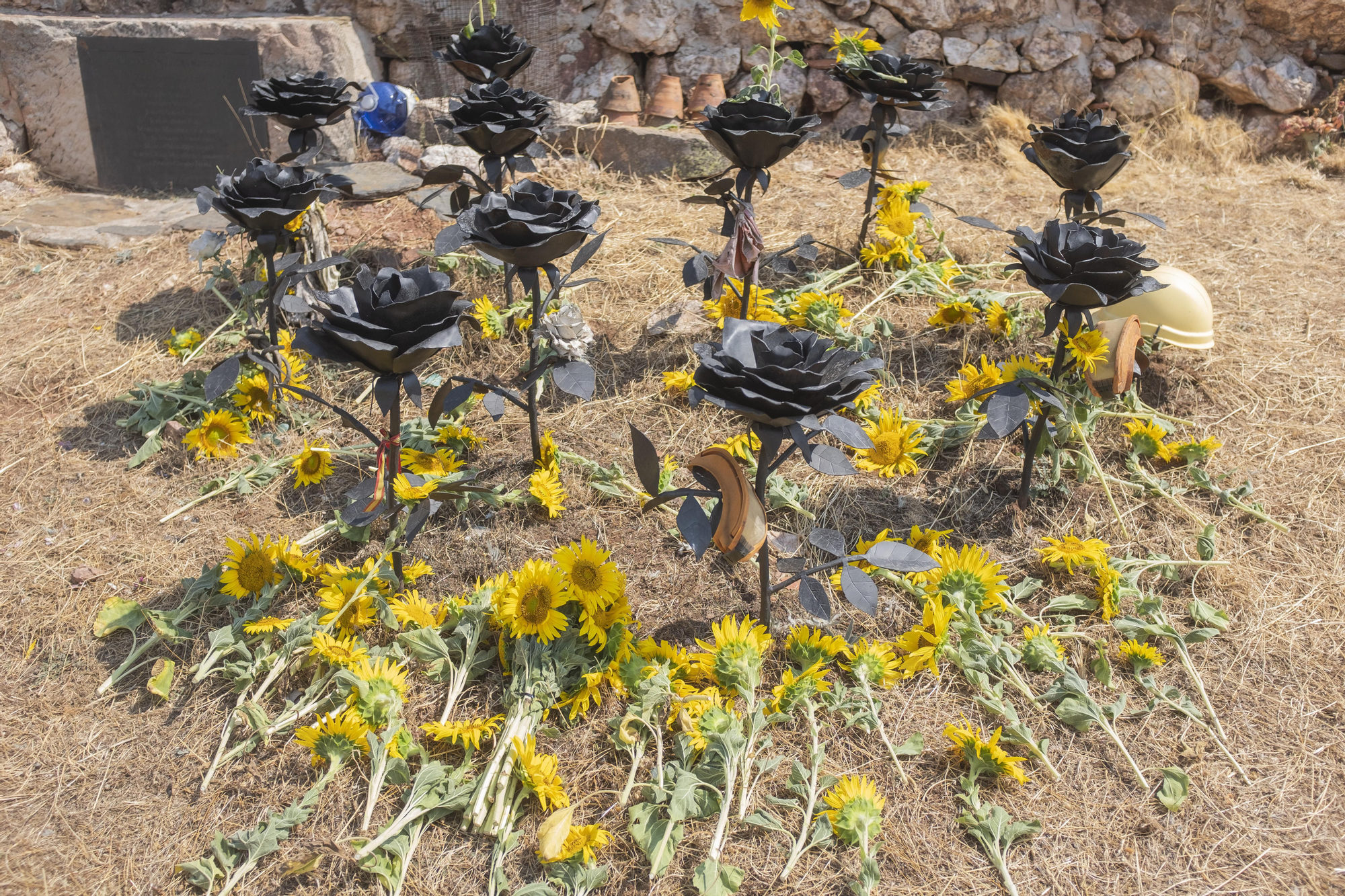 Once rosas, como homenaje a las personas fallecidas en el incendio de La Riba de Saelices (Guadalajara) en 2005