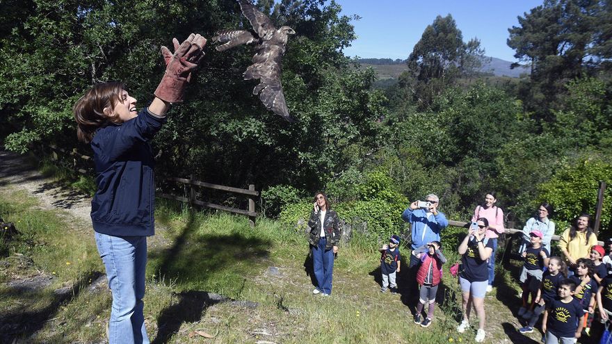 Incendios, eucaliptos, autovías y enfoque turístico de la Xunta: los parques naturales de Galicia acumulan problemas