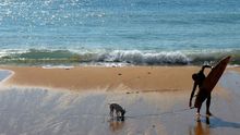 Un surfista y su perro, en una playa