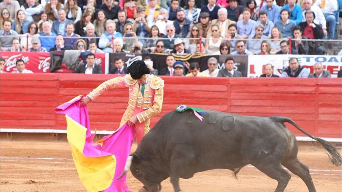 PP, PRC y Ciudadanos acusan a Podemos de confundir la tauromaquia con el maltrato animal.