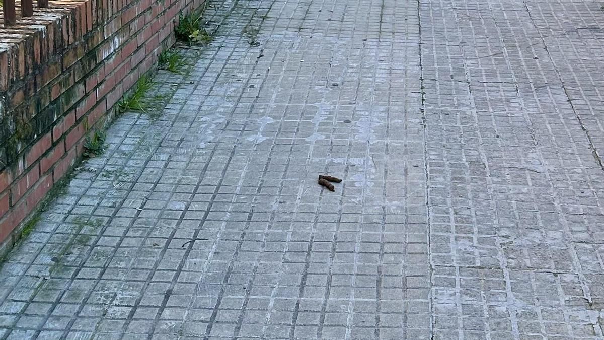 14007, Barrio Boñigas