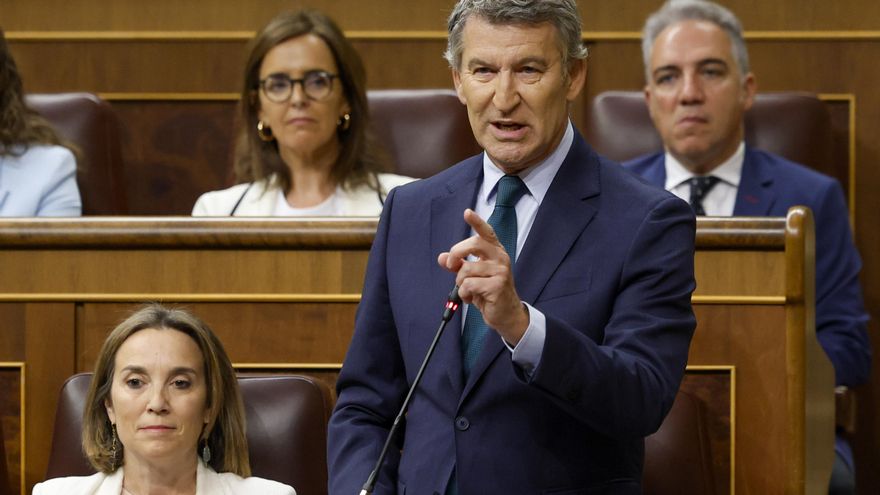 El líder del PP, Alberto Núñez Feijóo, durante su intervención en la sesión de control al Gobierno este miércoles en el Congreso. EFE/Mariscal