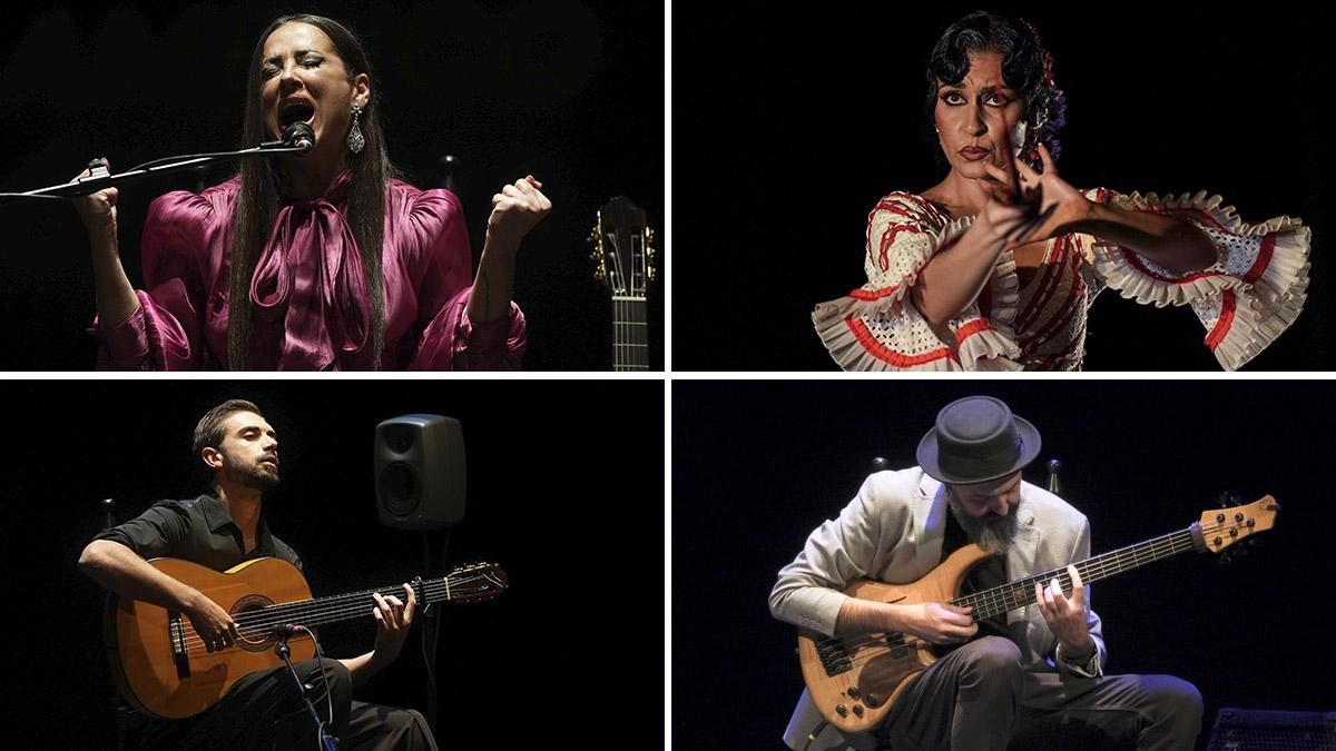 Sigue en directo la gala final del 24 Concurso Nacional de Arte Flamenco de Córdoba