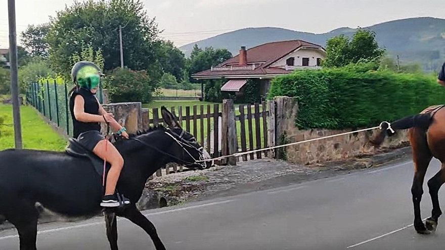 Denuncian maltrato animal en una carrera de burros en Zalla: "Son golpeados para que corran"