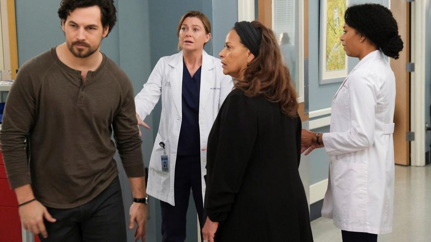 El libro que inspiró el titulo de 'Anatomía de Grey', la serie más longeva de la televisión