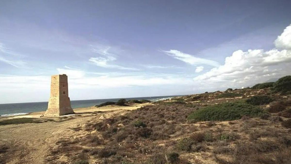 Playa de Artola Cabopino