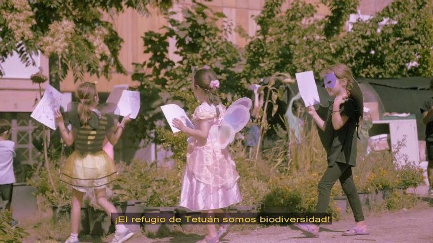 Niñas y niños nos enseñan jardinería ecológica en un corto rodado en la Huerta de Tetuán