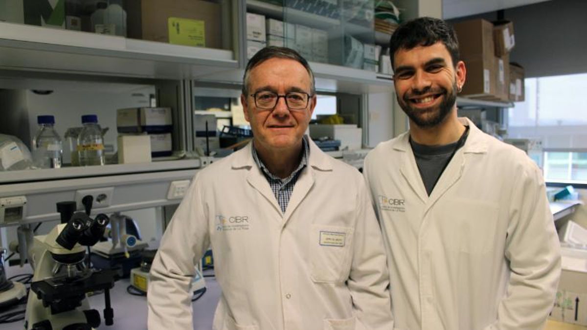 Investigadores del CIBIR de Logroño identifican una molécula clave para frenar el desarrollo de células tumorales