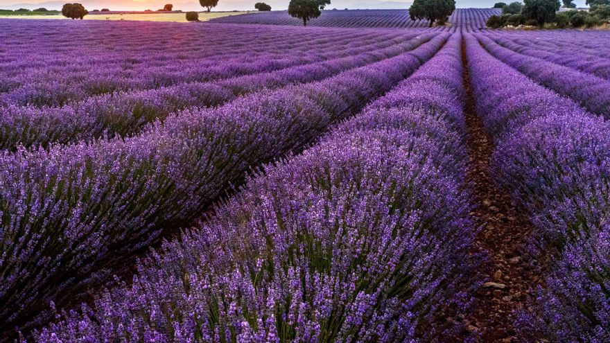 'Viaje y Nuevo Viaje a la Alcarria en familia', para disfrutar del turismo rural en la provincia de Guadalajara