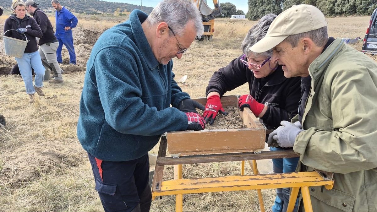 Excavación de este miércoles en Vegas de Matute, Segovia.