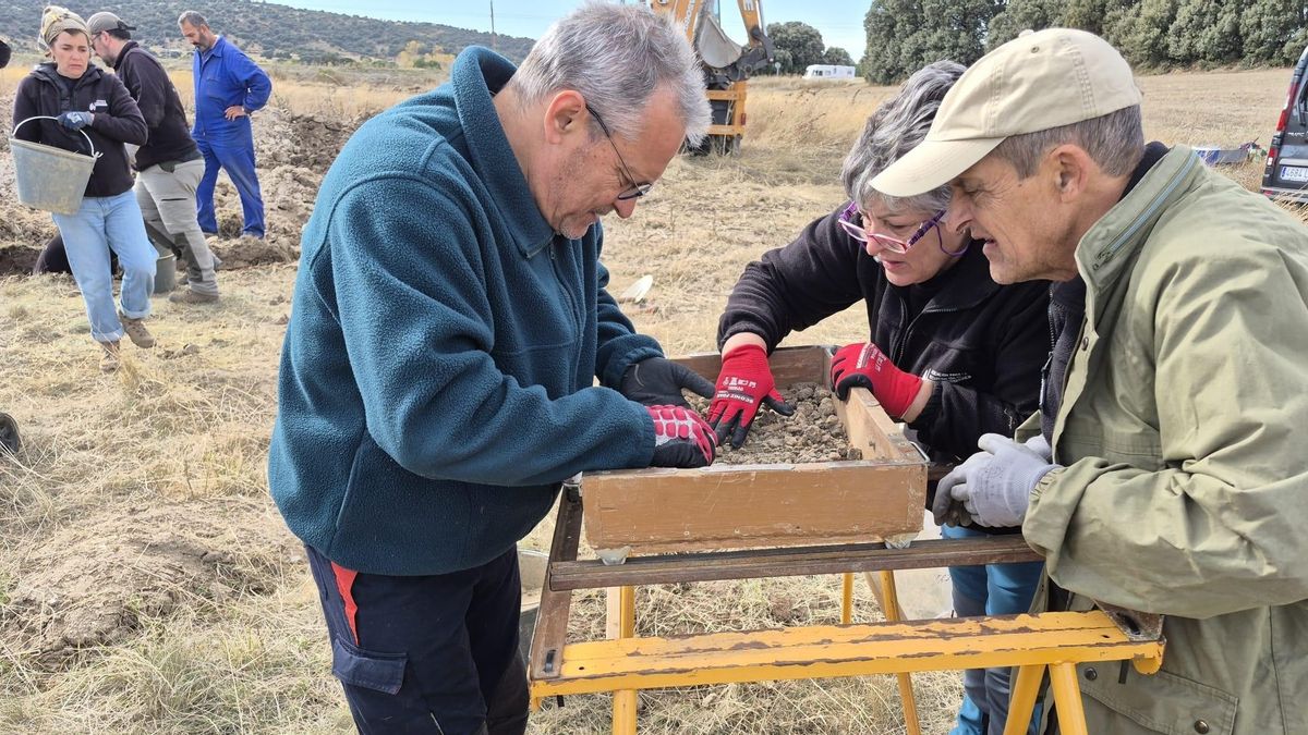 Excavación de este miércoles en Vegas de Matute, Segovia.