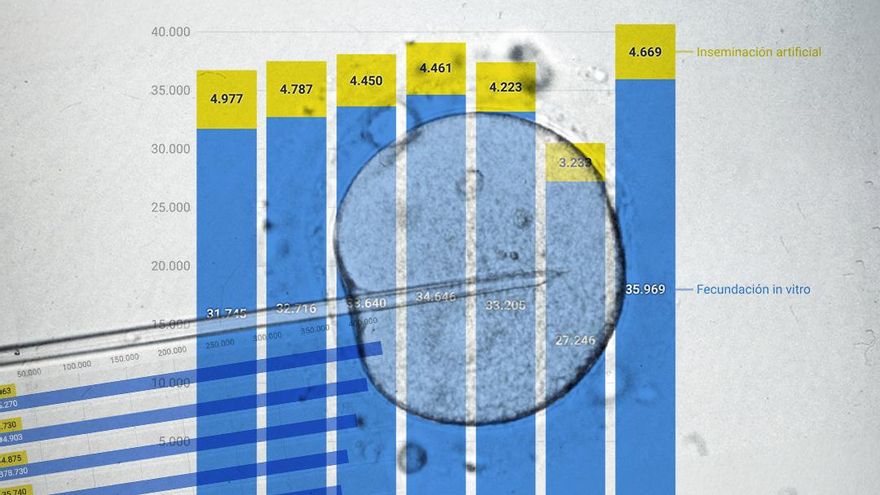 La natalidad se desploma pero los nacimientos por reproducción asistida crecen: ya son uno de cada diez