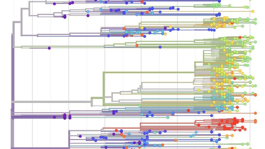 Las 3611 variaciones del genoma del SARS-CoV-2, de las cuales 39 se encontraron en España