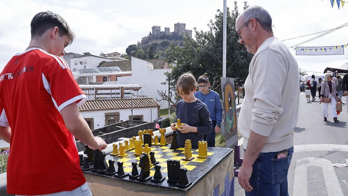 XV Zoco de la Encantá en Almodovar del Río