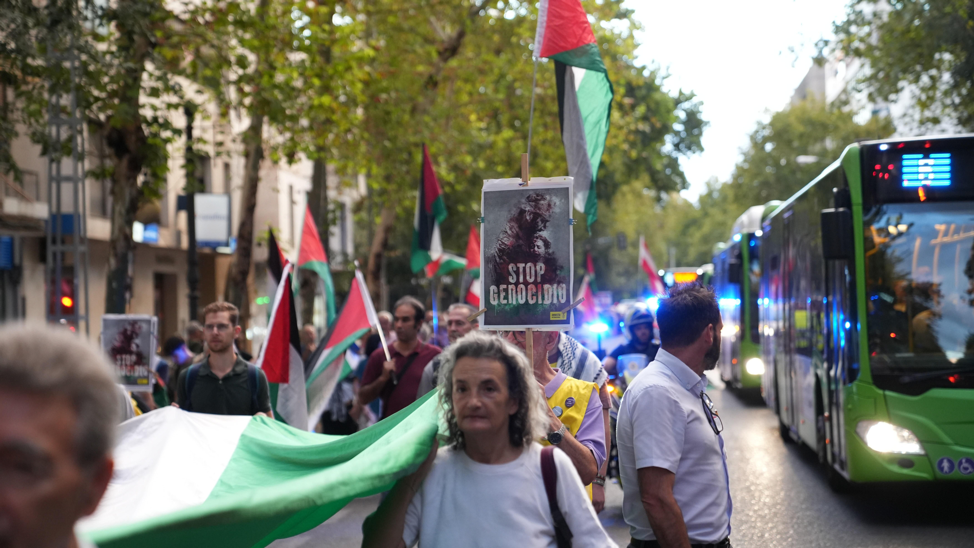 Manifestantes participan en Córdoba en una marcha en solidaridad con Palestina