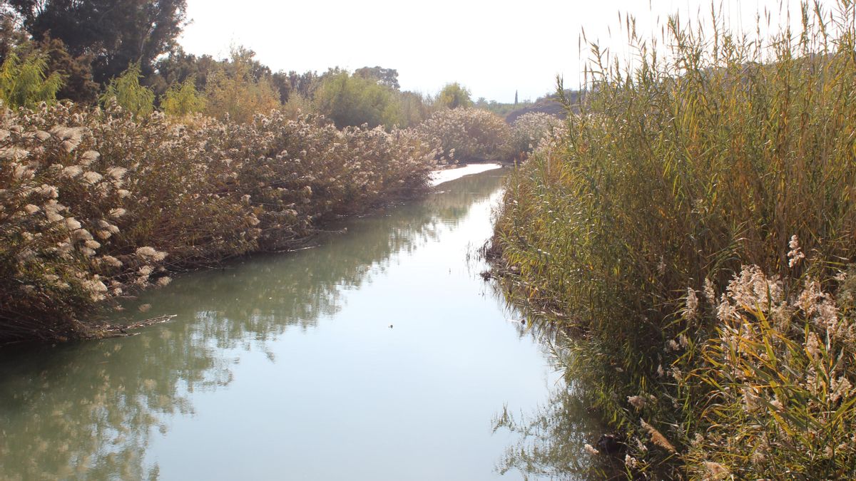 El río Segura a su paso por el paraje de la Contraparada / PSS