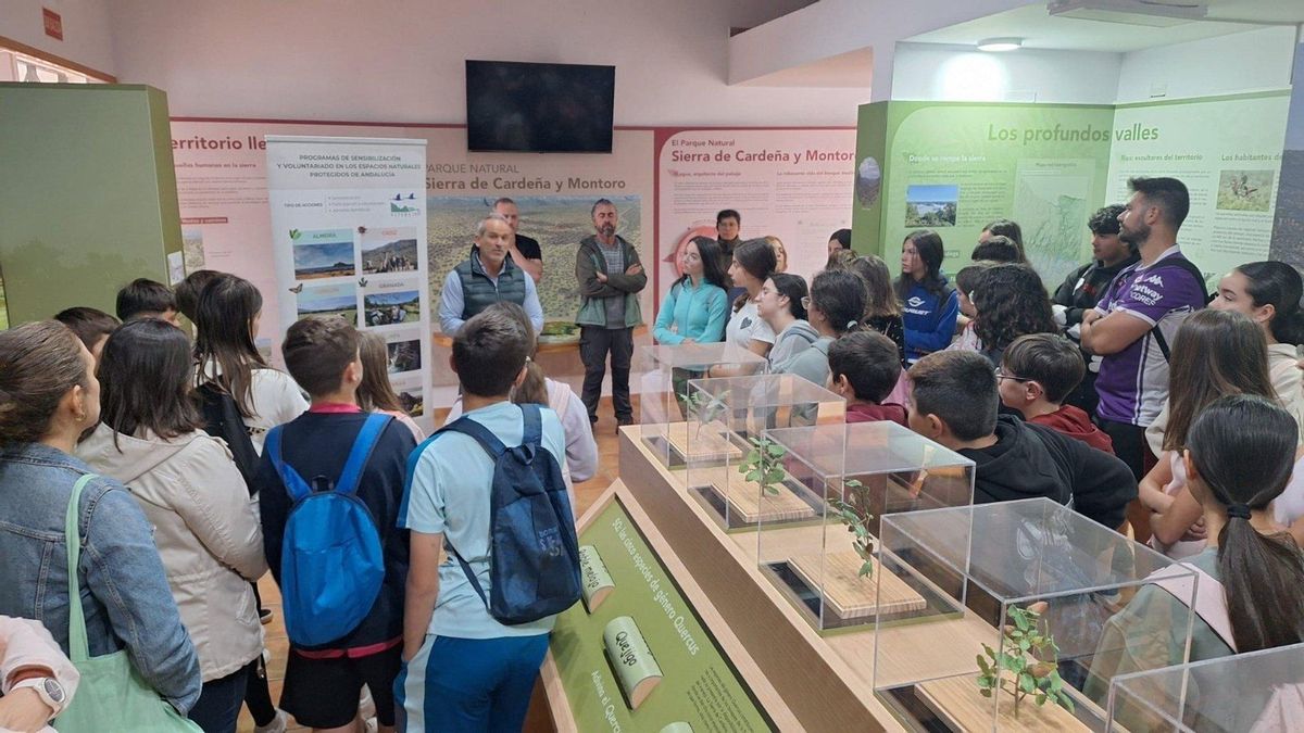 Alumnos realizan una jornada sobre apicultura y cambio climático en Cardeña y Montoro