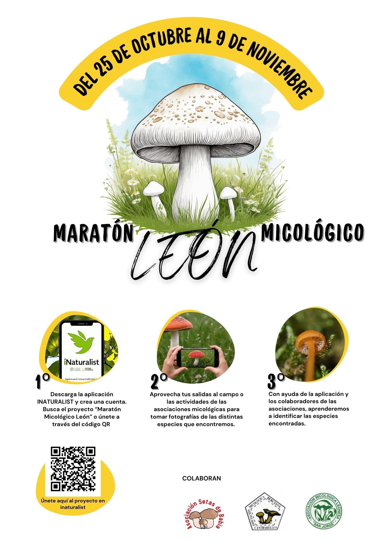 Cómo participar en el Micomaratón de León.