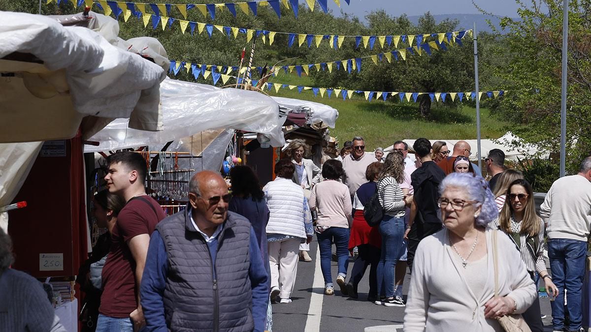 XV Zoco de la Encantá en Almodovar del Río