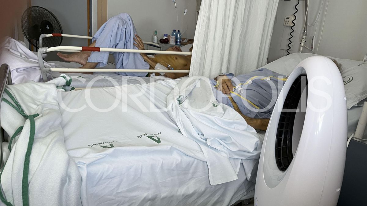 Pacientes con ventiladores en la quinta planta del Hospital Reina Sofía de Córdoba