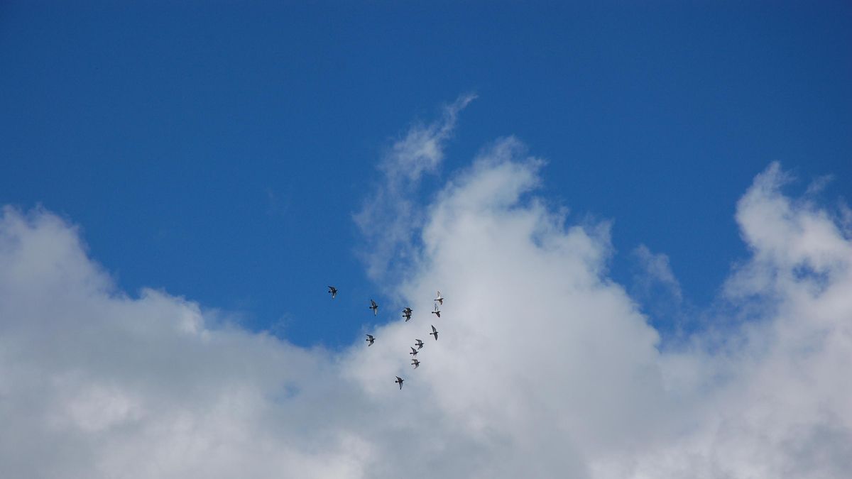 Nubes y claros en La Palma.