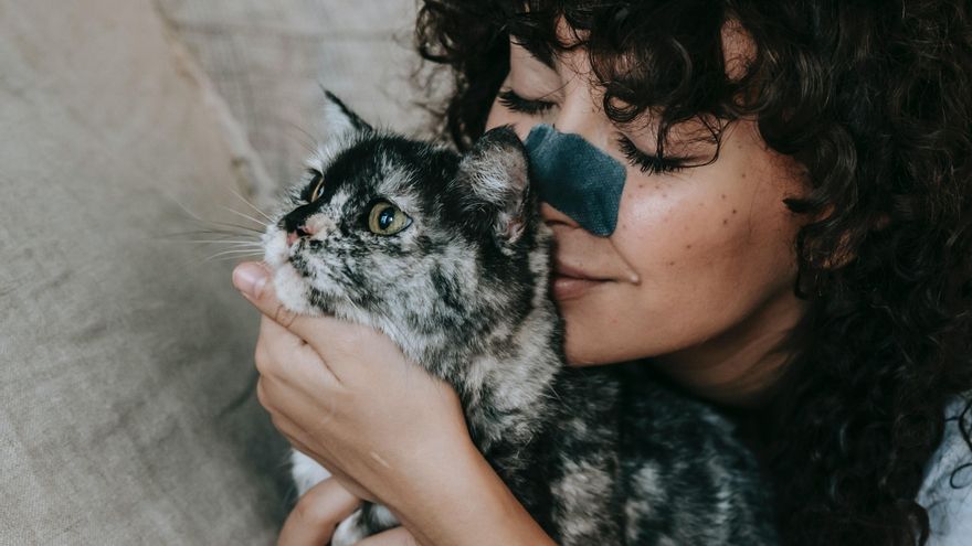 9 señales que confirman que tu gato te quiere mucho