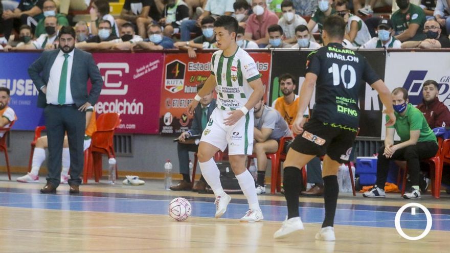Córdoba Patrimonio - Palma Futsal