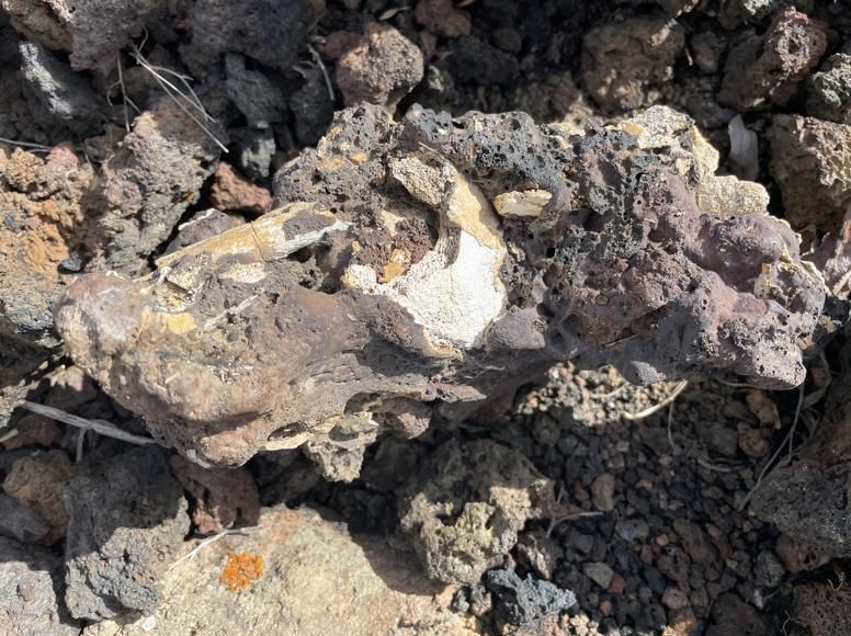 Bloque de lava con restos humanos en la necrópolis de La Cucaracha (Montaña de Las Tabaibas) (Foto: Jorge Pais Pais)