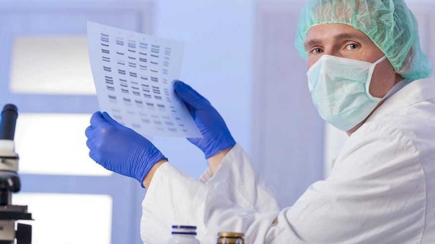 Cáncer: hallan un anticuerpo que frena la propagación tumores y previene la metástasis