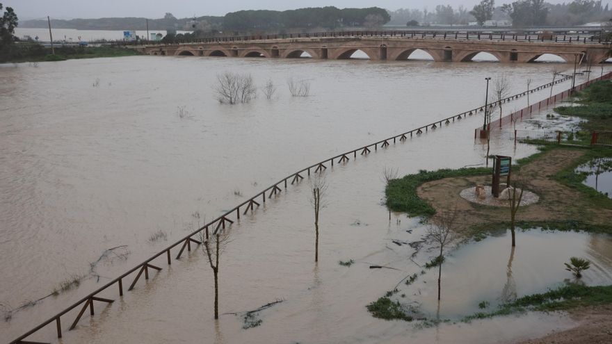 El río Guadalete desborda sus márgenes a su paso por la zona de Las Pachecas en Jerez de la Frontera (Cádiz) provocando importantes inundaciones. A 4 de febrero de 2026, en Jerez de la Frontera, Cádiz (Andalucía, España).