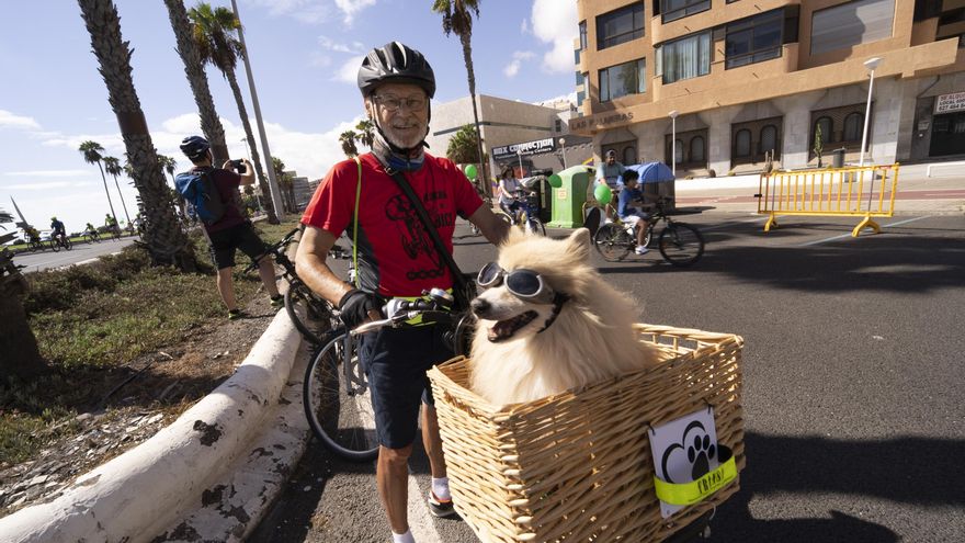 También han participado personas con movilidad reducida, corredores y ciudadanos con diferentes tipos de transportes no motorizados