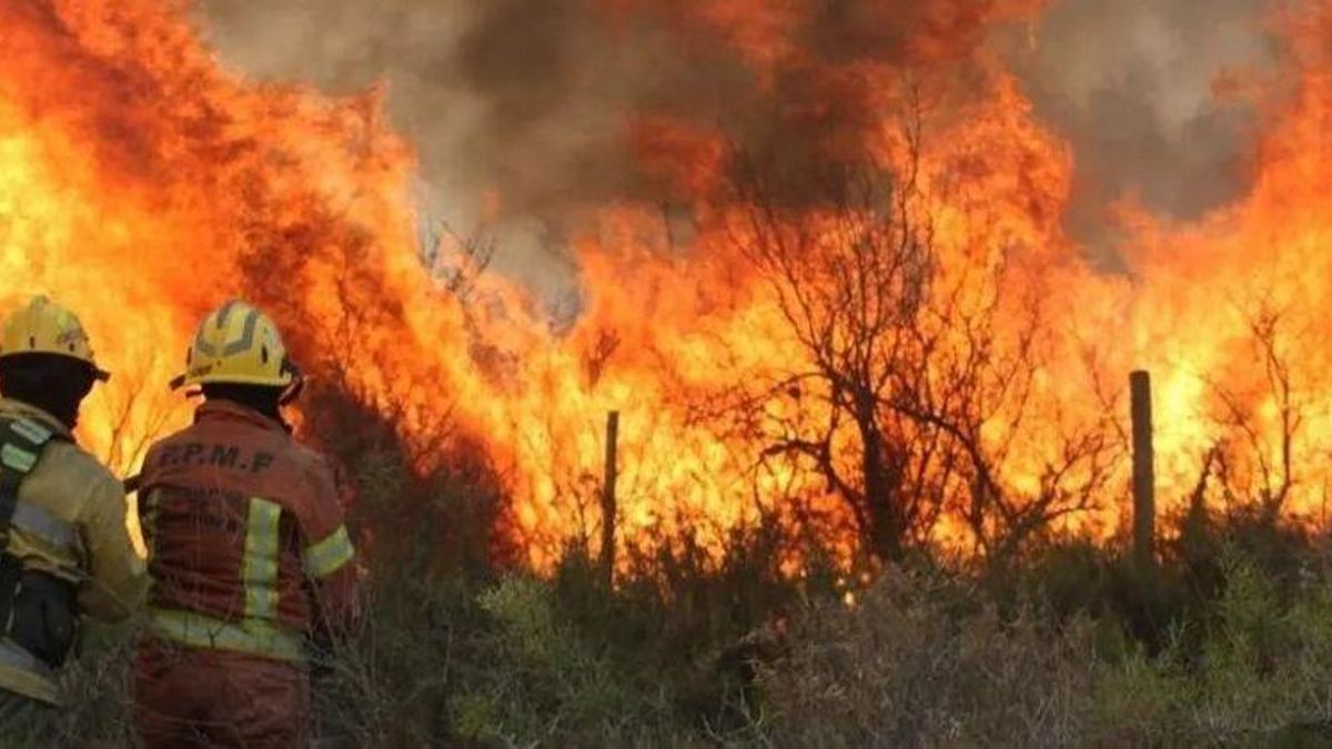 Día para prevenir los incendios forestales