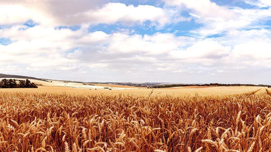 Aumento de los costes de producción y las altas temperaturas centran las preocupaciones de agricultores y ganaderos