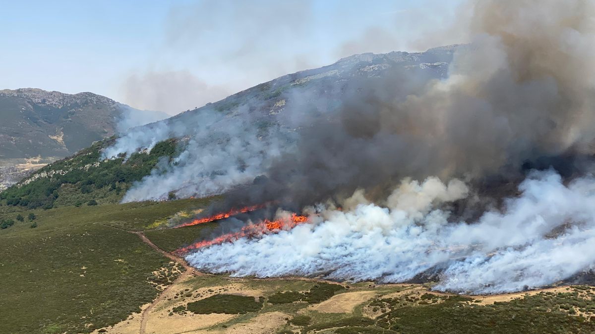 Palencia ve cómo se queman sus zonas oseras, con incertidumbre sobre cómo quedará el ecosistema