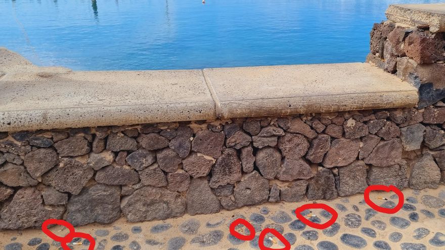 Colillas marcadas en La Graciosa. (Nofumadores.org)