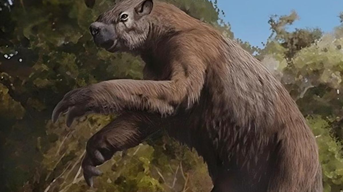 Entran a explorar una cueva en Texas y salen con pruebas que no encajan con la Edad de Hielo: todas las criaturas posibles estaban allí