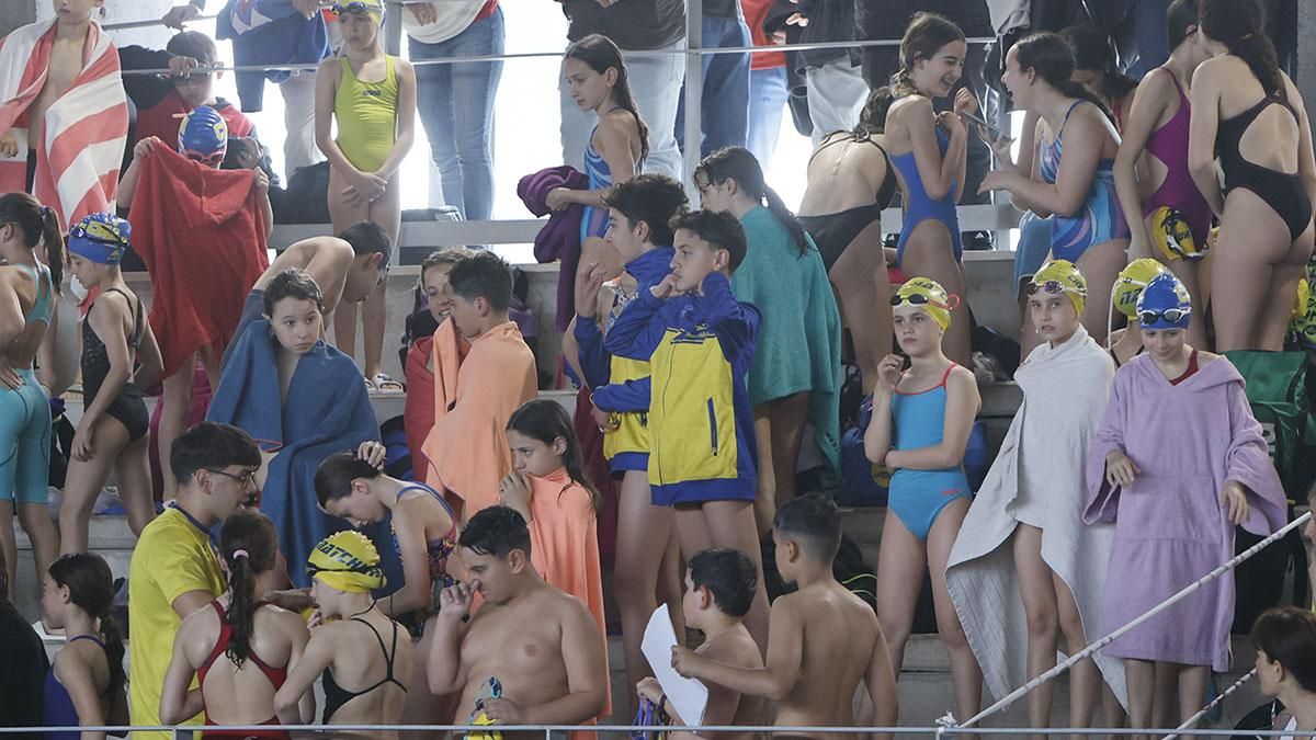 XV Trofeo Ciudad de Córdoba de Natación