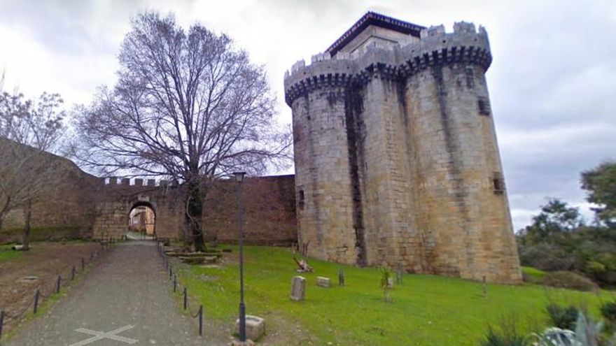 El olmo de Granadilla, un alcornoque y un castaño, ya son árboles singulares de Extremadura