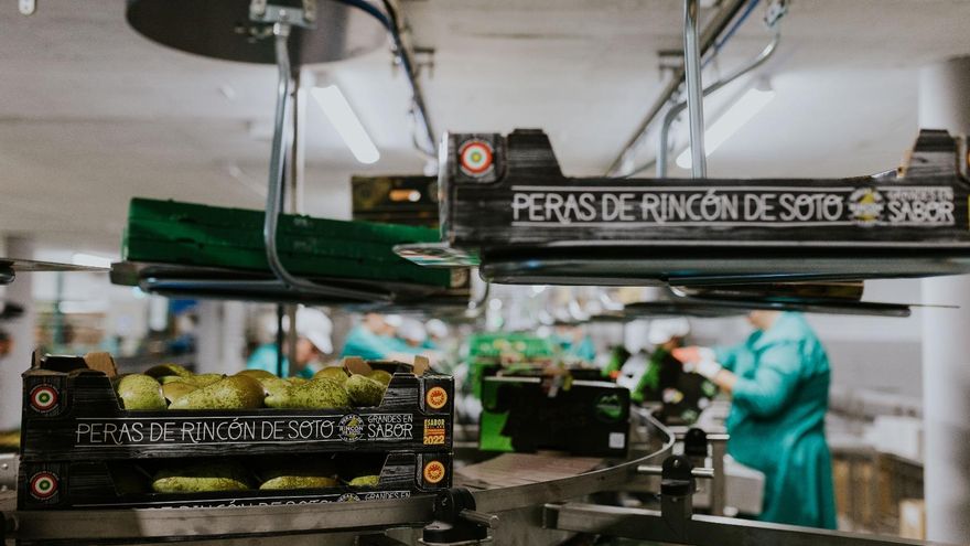 Bioeconomía circular con dos sectores clave en La Rioja: residuos de champiñón para reducir las pérdidas de la Pera de Rincón