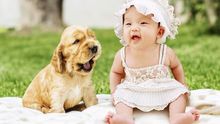 Claves para que el perro acepte sin problemas al nuevo bebé en casa