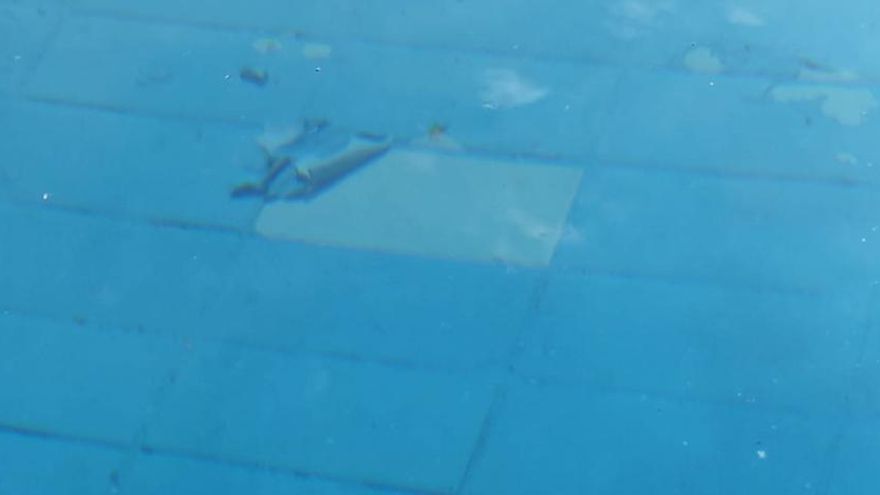 Fondo de la piscina de Orcasitas