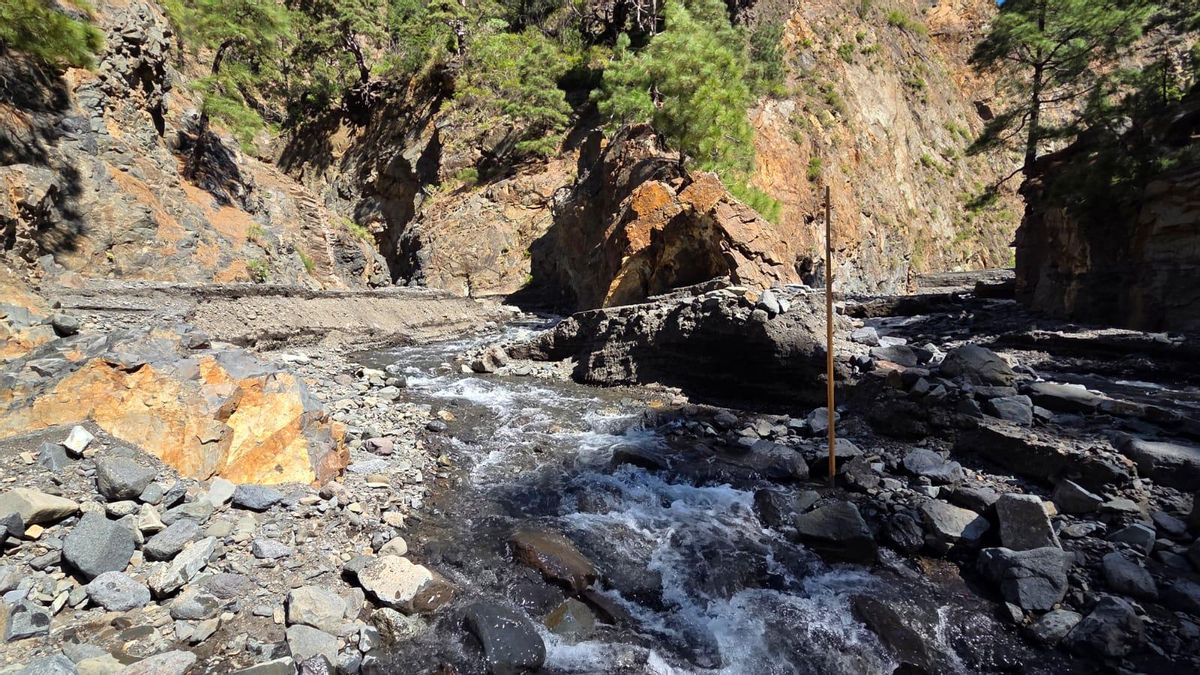 El agua corriendo, este lunes, por  un barranco de La Caldera de Taburiente.