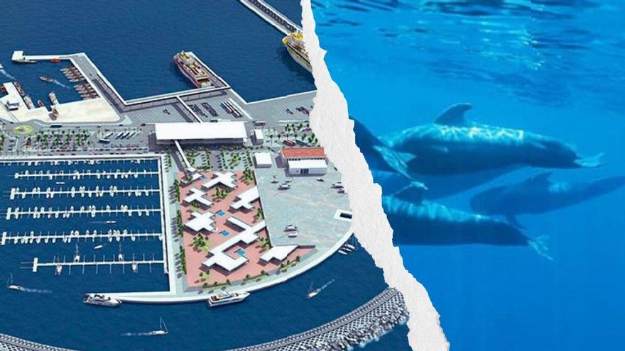 La Fepeco acusa al líder de Nueva Canarias de querer "frenar el crecimiento económico" de Tenerife por el rechazo al puerto de Fonsalía