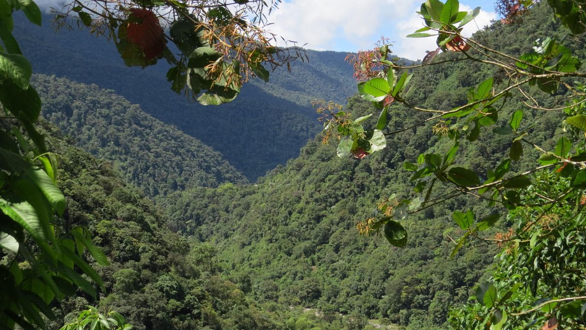Paisaje de la Zona de Reserva Campesina La Tuna, ubicada en el municipio de Santa Rosa, en el departamento del Cauca, Colombia. Foto: cortesía SELVA