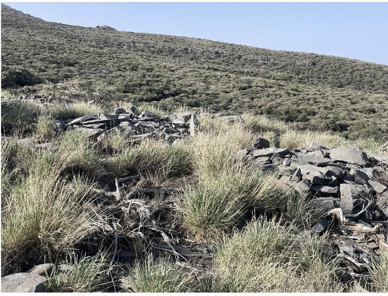 Amontonamientos de piedras del Llano de Las Lajitas (Roque de Los Muchachos) (Foto Jorge Pais)