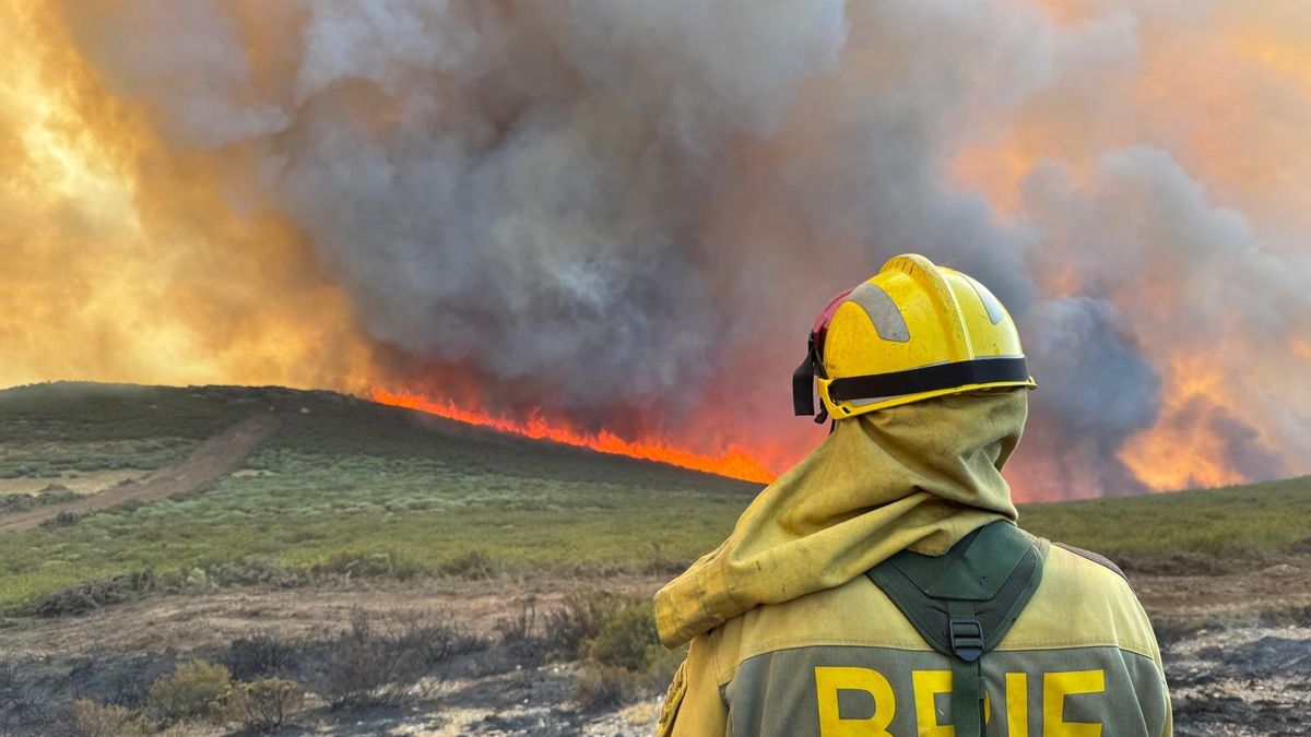 Un bombero forstal brigadista de las Brif estatales vigilando la evolución del incendio de Llamas de Cabrera.