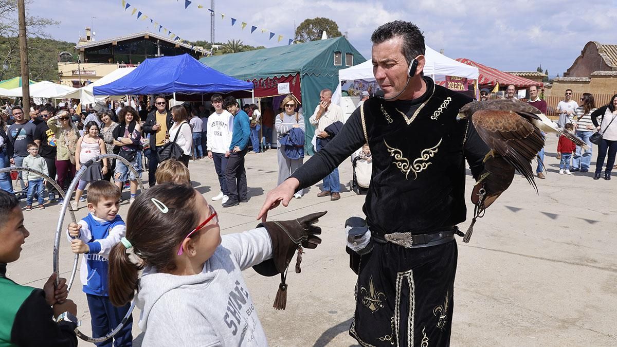 XV Zoco de la Encantá en Almodovar del Río